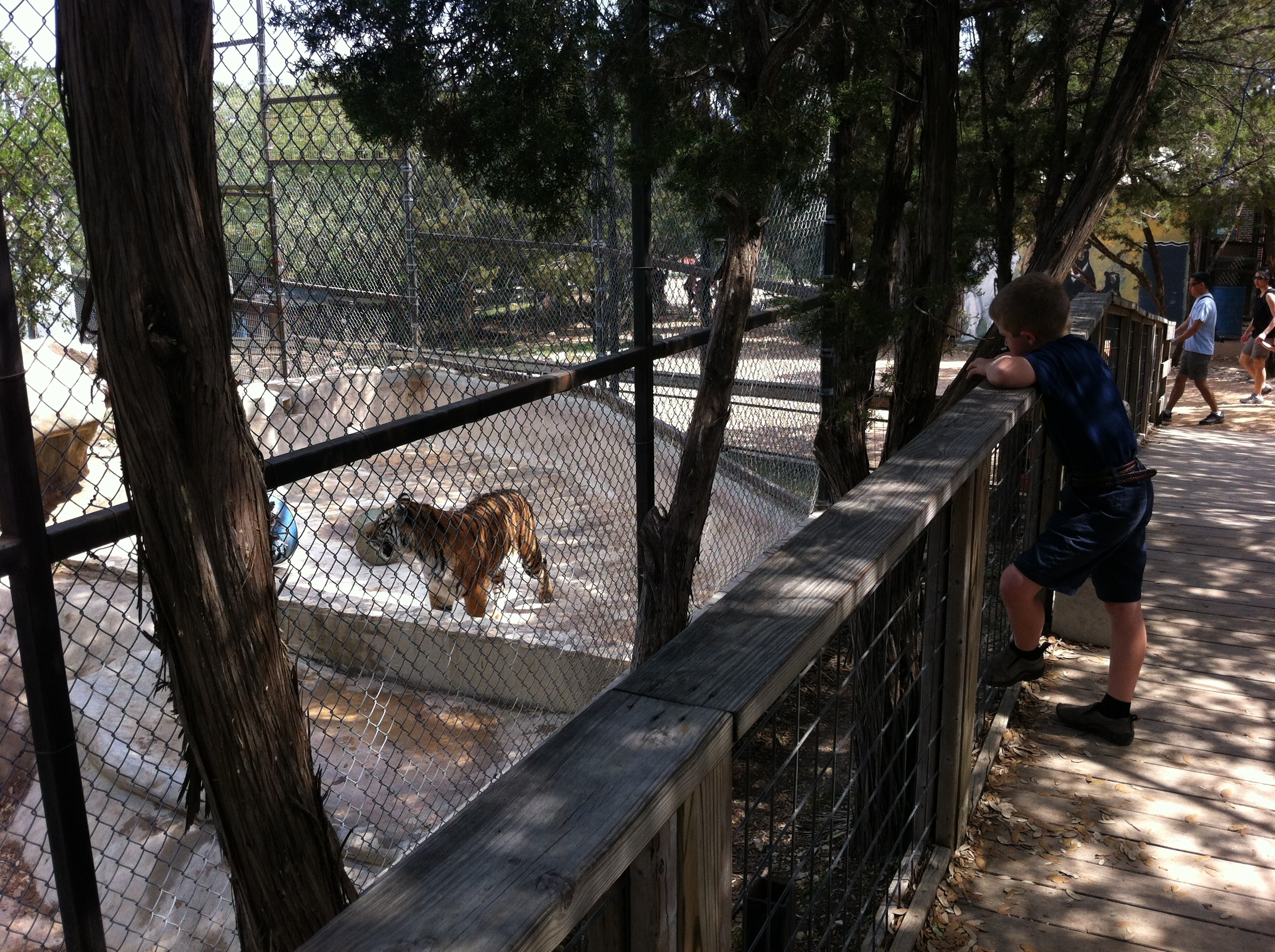 2012-04-09-08-Austin Zoo with Ian.jpg